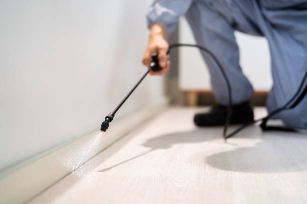 Licensed Termite Control service in Jackson County County, MS - Nex Pest Control