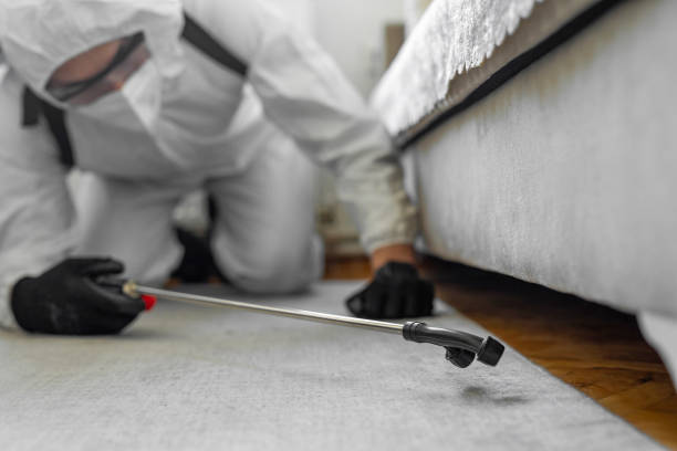 Professional Termite Control technician working in Jackson County County, MS